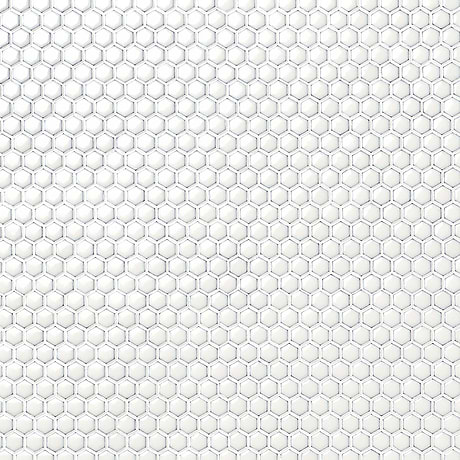 Eden Winter White Rimmed 1" Hexagon Polished Porcelain Mosaic