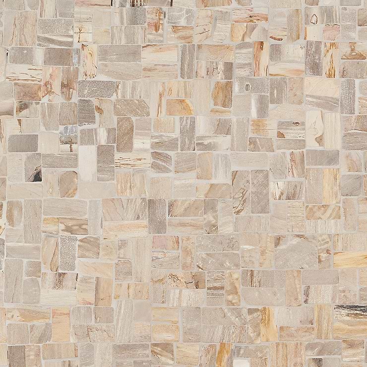Fossil Antique Petrified Stone Mosaic
