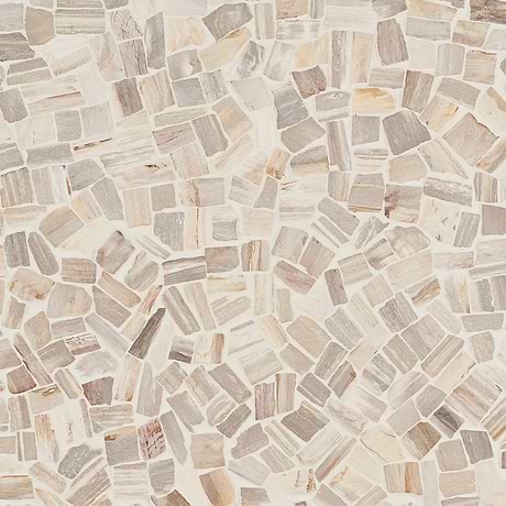 Fossil Tumbled Petrified Stone Mosaic