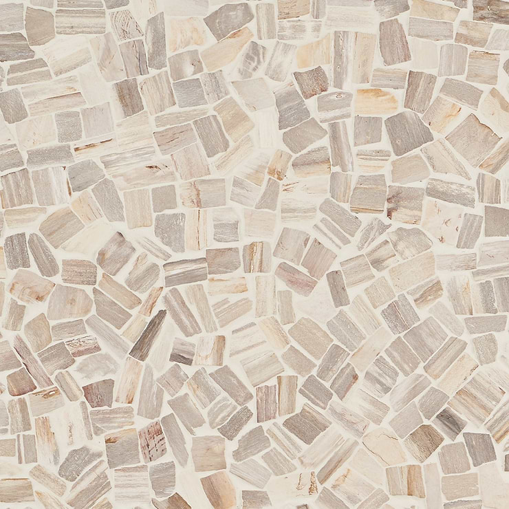 Fossil Tumbled Petrified Stone Mosaic