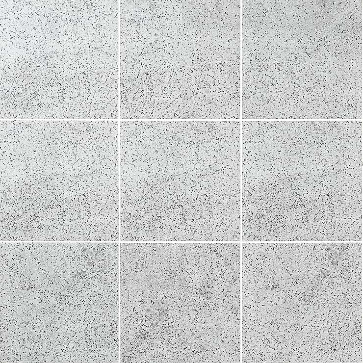 Art Geo by Elizabeth Sutton Terrazzo Gray 8x8 Matte Porcelain Tile