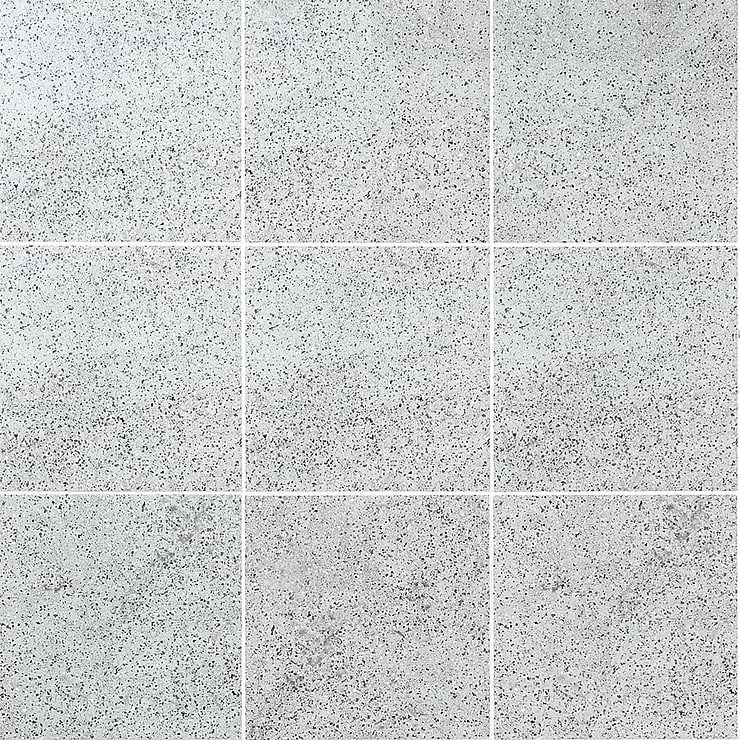 Art Geo by Elizabeth Sutton Terrazzo Gray 8x8 Matte Porcelain Tile