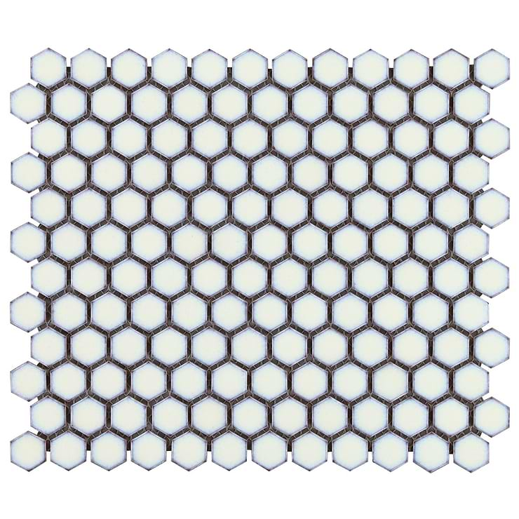 Eden Winter White Rimmed 1" Hexagon Polished Porcelain Mosaic