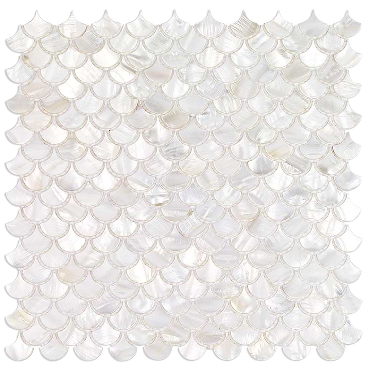 Oyster White Pearl Shells Tile