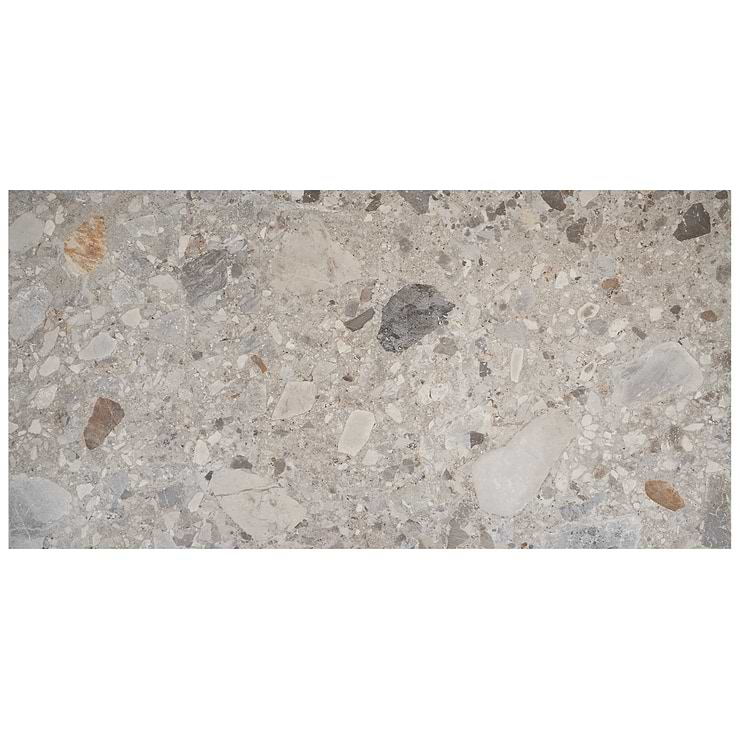 Rizo Earth Gray 24x48 Terrazzo Look Matte Porcelain Tile