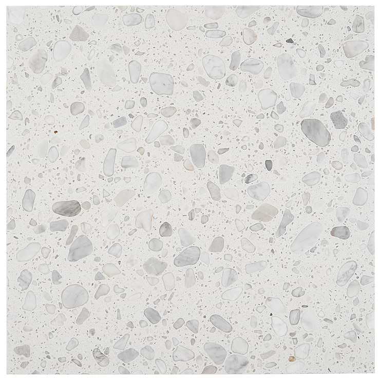 Terrazzo Italy Sacra Bianco White 24x24 Honed Terrazzo Tile