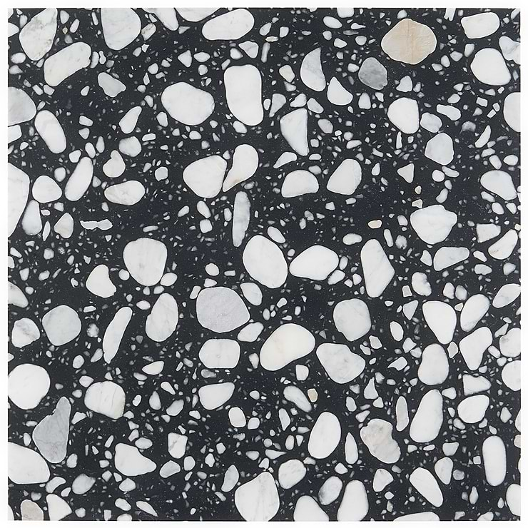 Terrazzo Italy Sacra Nero Black & White 24x24 Honed Terrazzo Tile