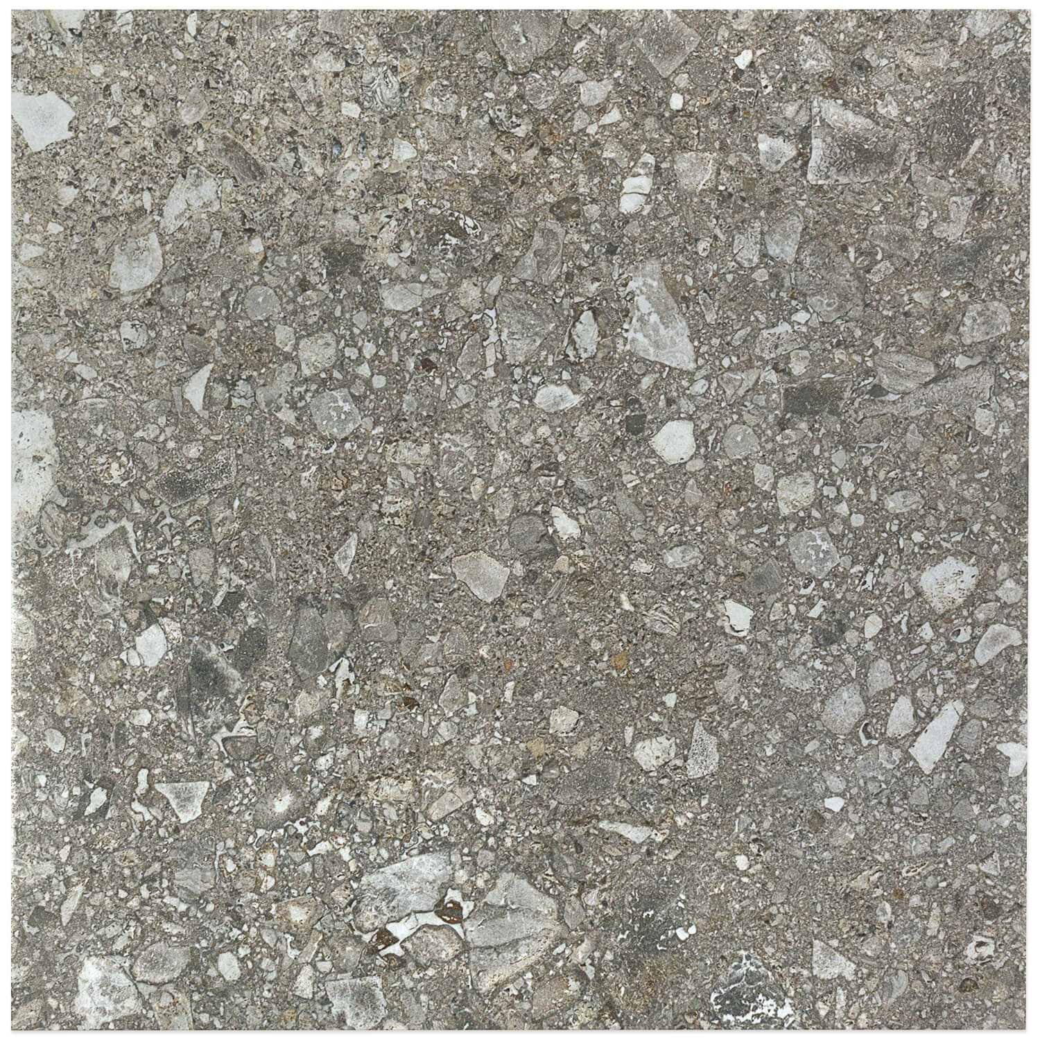 Rizo Antracite Dark Gray 24x24 Terrazzo Look Semi-Polished Porcelain Tile