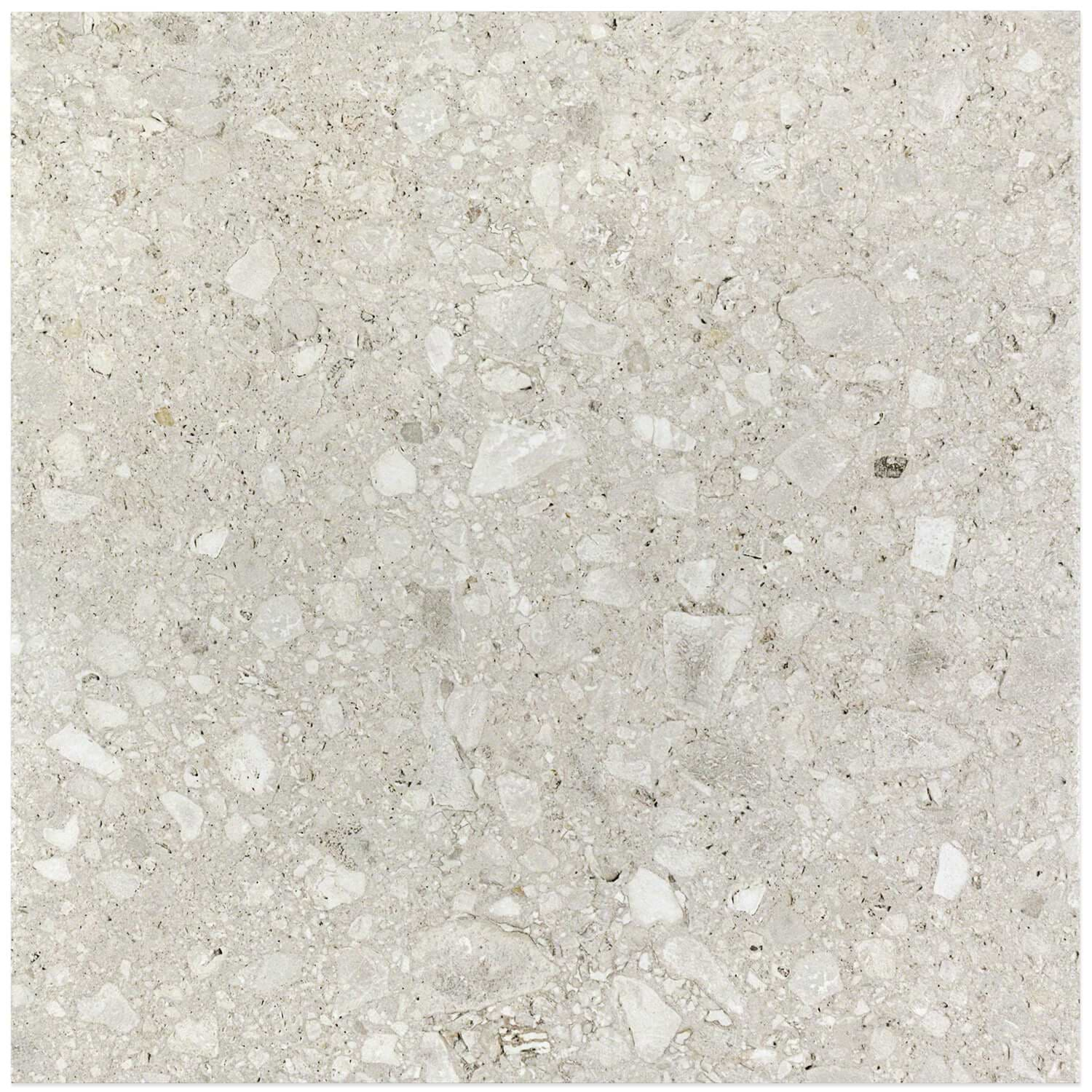 Rizo Cenere Gray 24x24 Terrazzo Look Semi-Polished Porcelain Tile