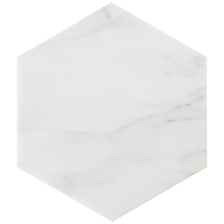 Asian Statuary 10" Hexagon Honed Marble Tile