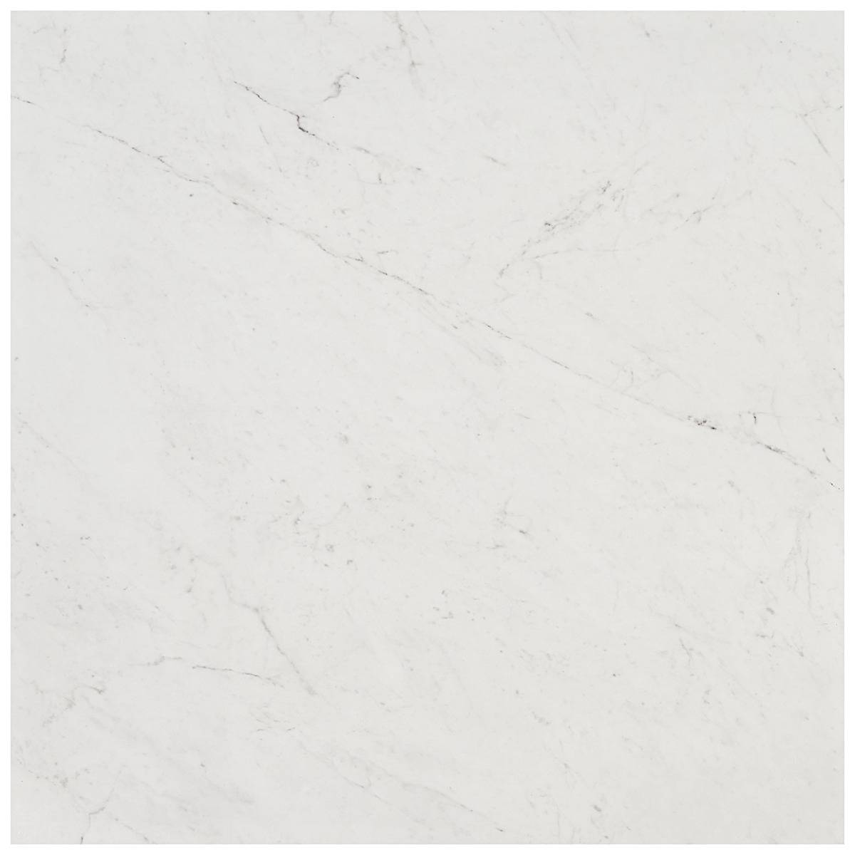 DreamStone Carrara Giola 24x24 Polished Porcelain Tile
