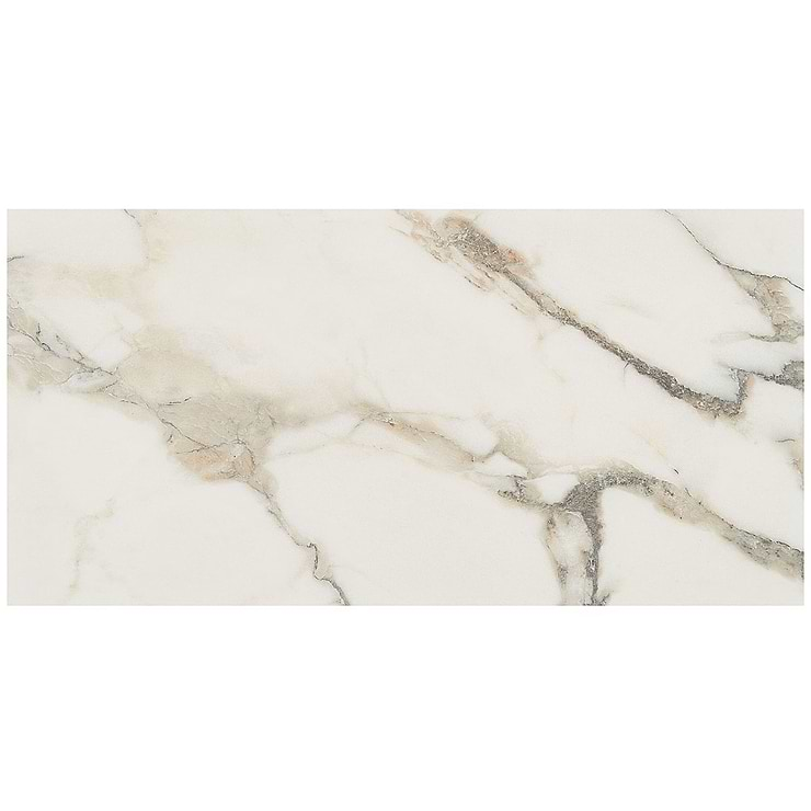 DreamStone Calacatta Rustico 12x24 Matte Porcelain Tile