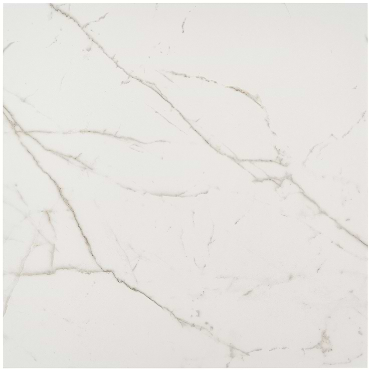 Versilia Statuario Matte 24x24 Porcelain Tile