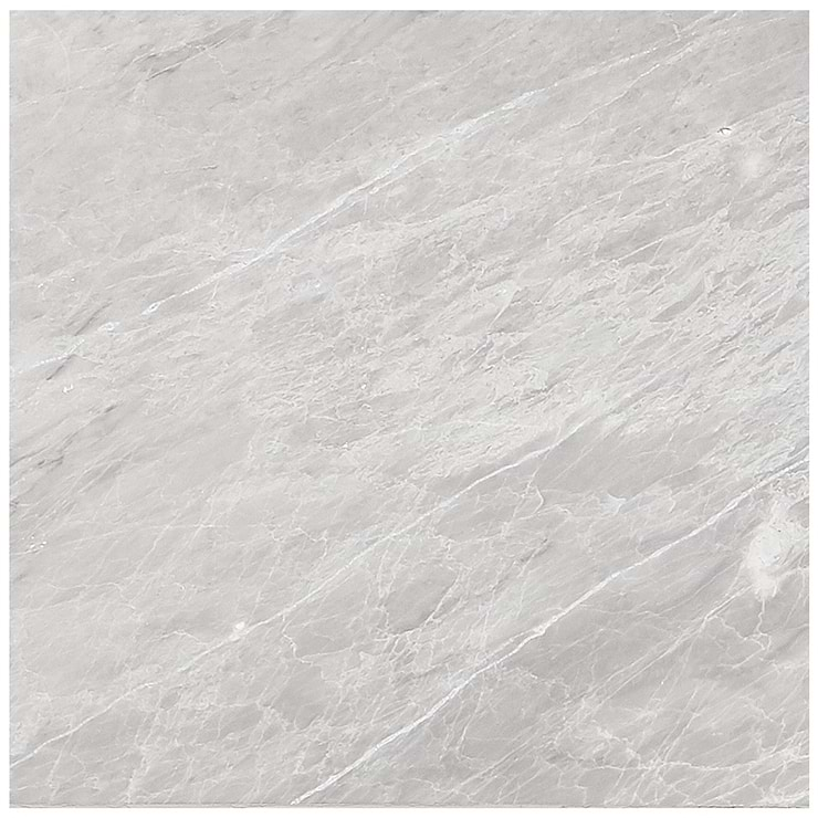 Earth Gray 12x12 Polished Marble Tile