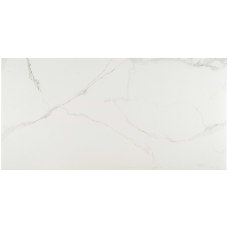 TileBarXL Marmi White Calacatta Honed 24"X48" Porcelain Tile