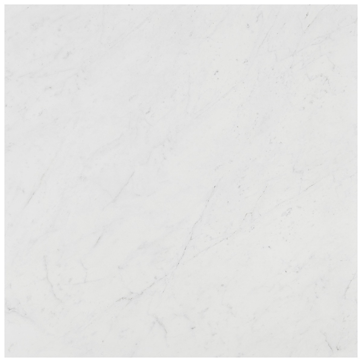 DreamStone Carrara Giola 24x24 Matte Porcelain Tile