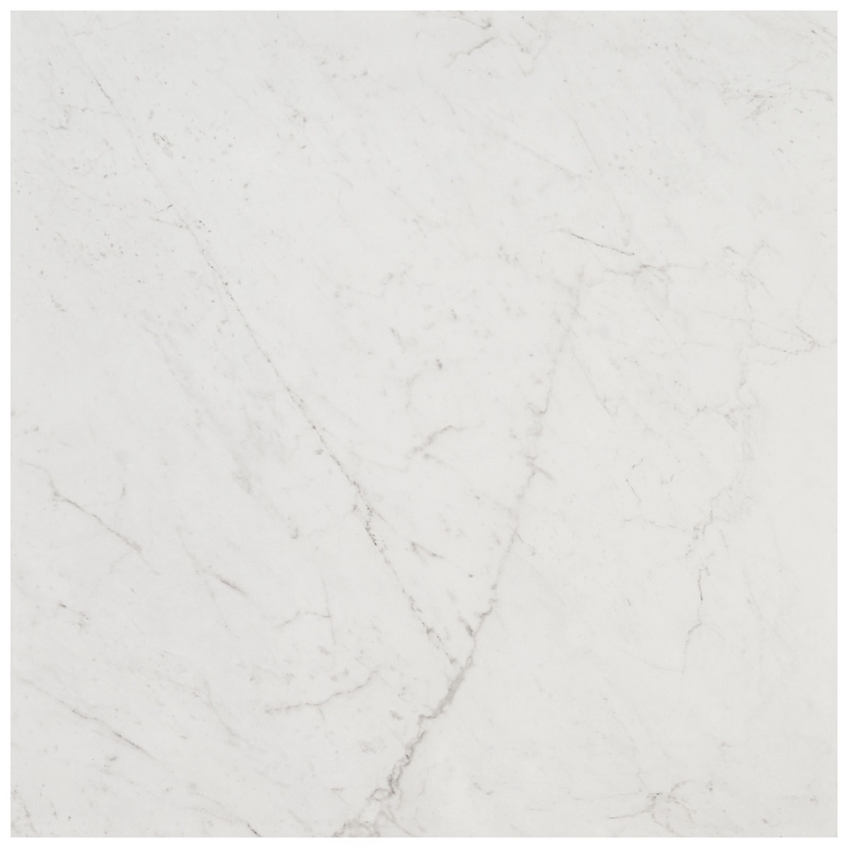 DreamStone Carrara Giola 24x24 Polished Porcelain Tile