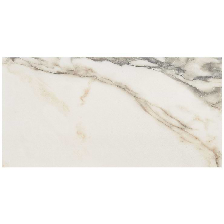 DreamStone Calacatta Rustico 12x24 Polished Porcelain Tile