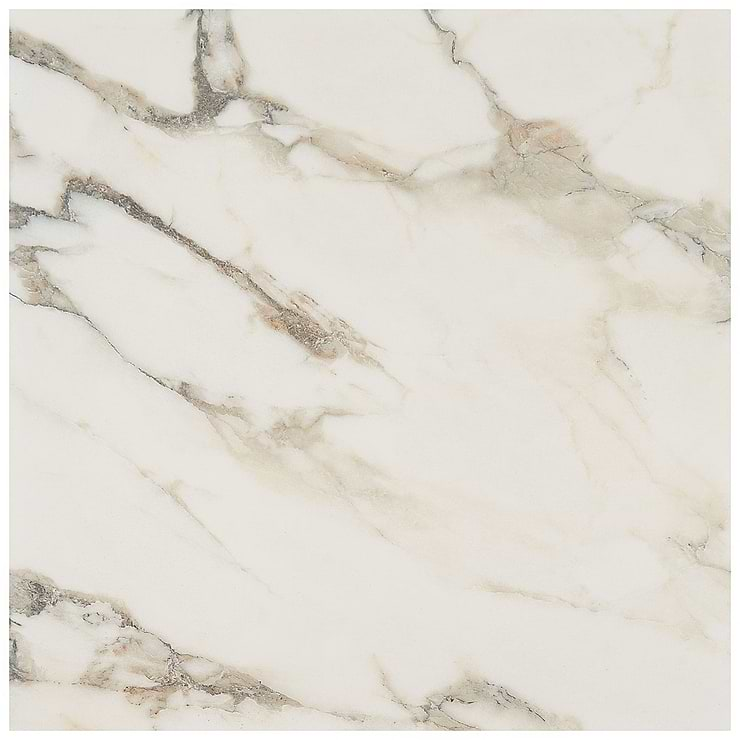 DreamStone Calacatta Rustico 24x24 Matte Porcelain Tile