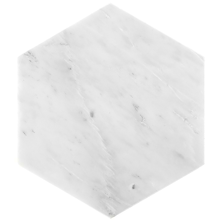 Asian Statuary 10" Hexagon Honed Marble Tile