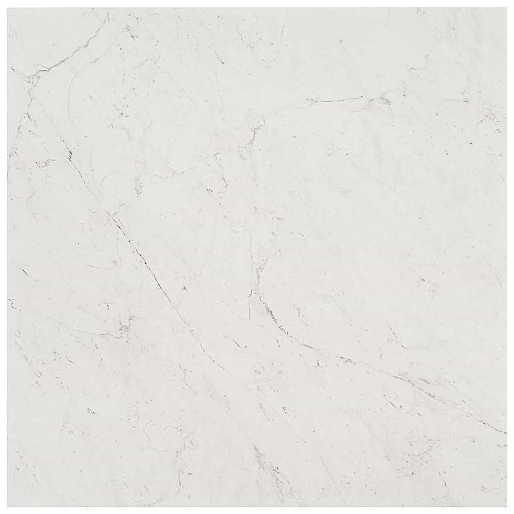 DreamStone Carrara Giola 24x24 Polished Porcelain Tile