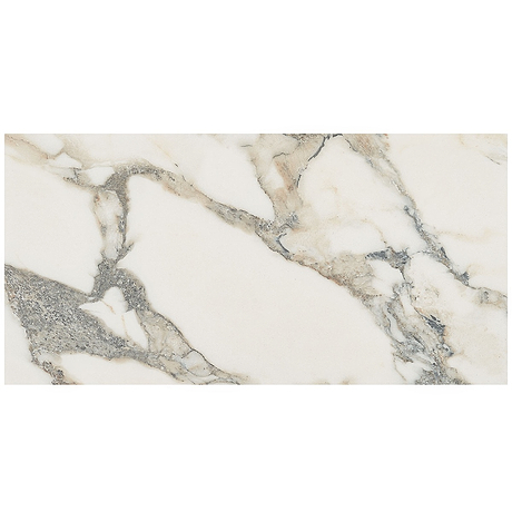 DreamStone Calacatta Rustico 12x24 Matte Porcelain Tile