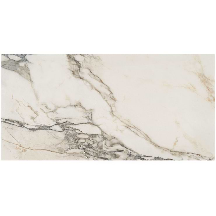 DreamStone Calacatta Rustico 24x48 Polished Porcelain Tile