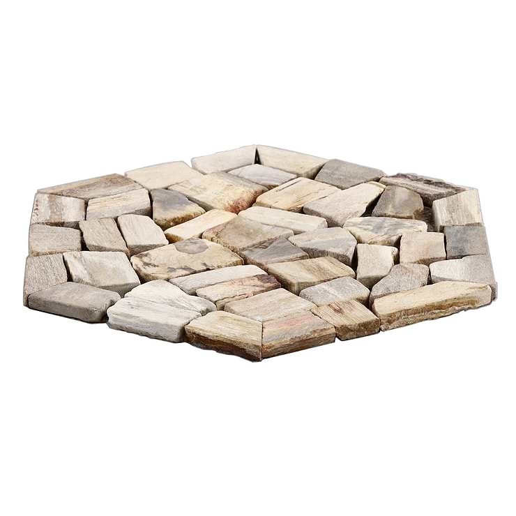 Fossil 10" Hexagon Petrified Stone Mosaic