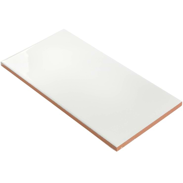 Vector Hueso 4x8 Polished Ceramic Tile