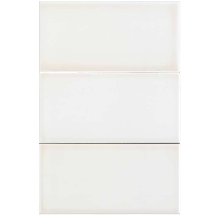 Vector Hueso 4x8 Polished Ceramic Tile