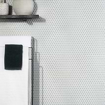 Eden Modern Gray Rimmed 1" Penny Round Polished Porcelain Mosaic