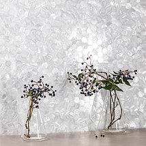 Serene White Pearl Hexagon Polished Tile