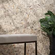 Fossil Tumbled Petrified Stone Mosaic