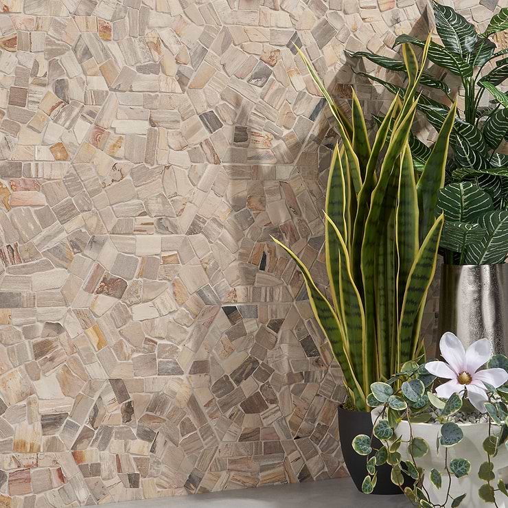 Fossil 10" Hexagon Petrified Stone Mosaic