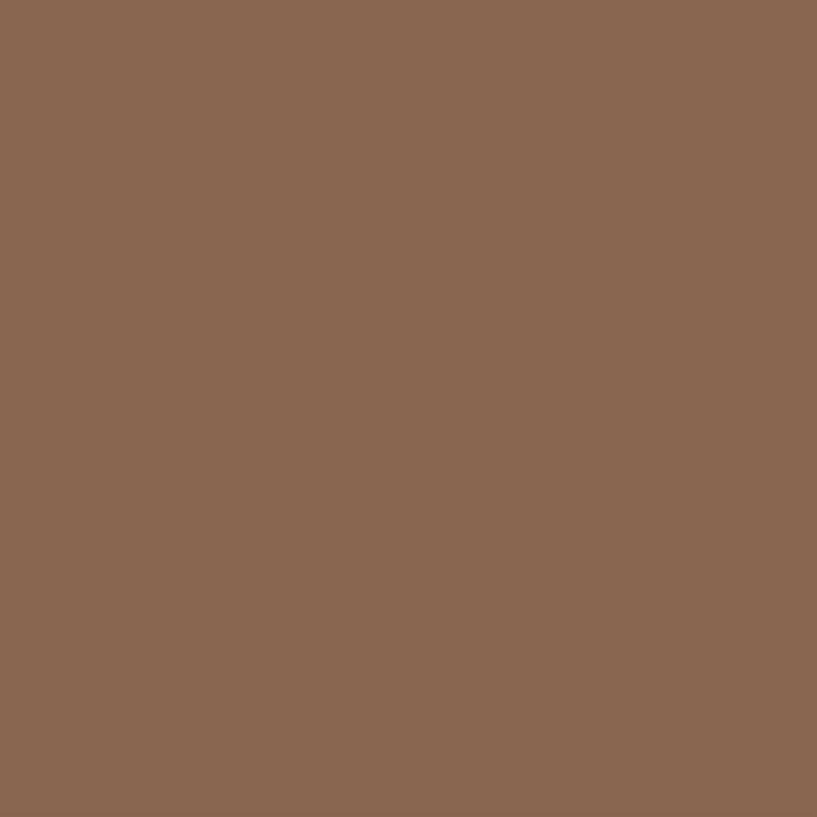 Laticrete Latasil Terra Cotta- 10.3oz Tube