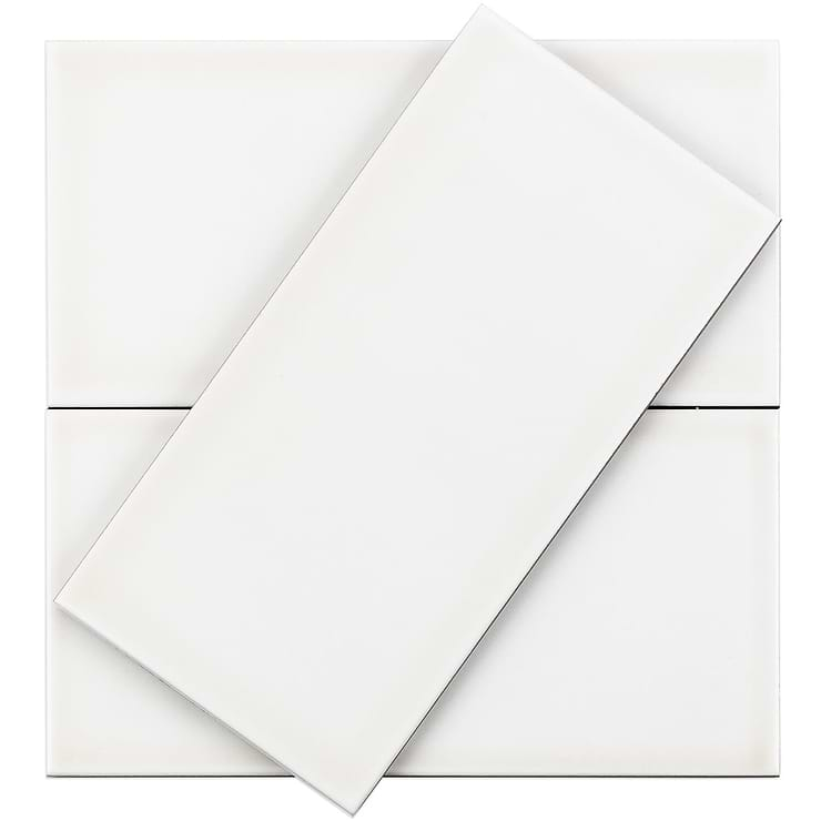 Vector Hueso 4x8 Polished Ceramic Tile