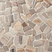 Fossil New Antique Petrified Stone Mosaic