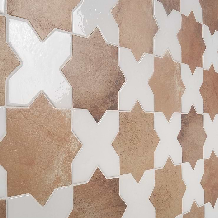 Not for Sale-Parma Cotto Brown Matte Star and White Polished Cross 6" Terracotta Look Porcelain Tile