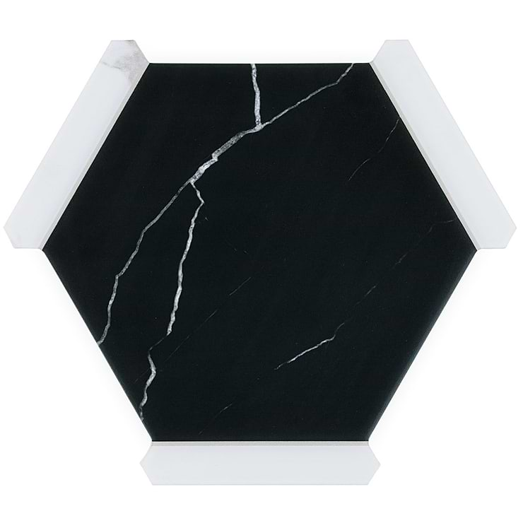 Sagon Nero Black 9" Hexagon Matte Porcelain Tile