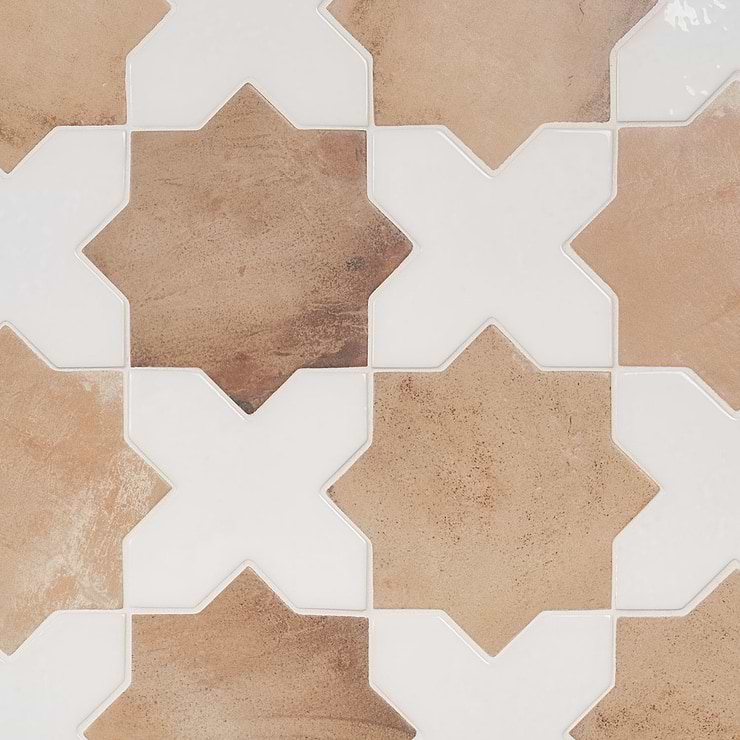 Not for Sale-Parma Cotto Brown Matte Star and White Polished Cross 6" Terracotta Look Porcelain Tile