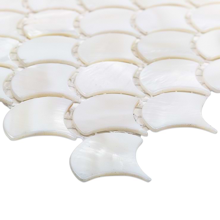 Oyster White Pearl Shells Tile