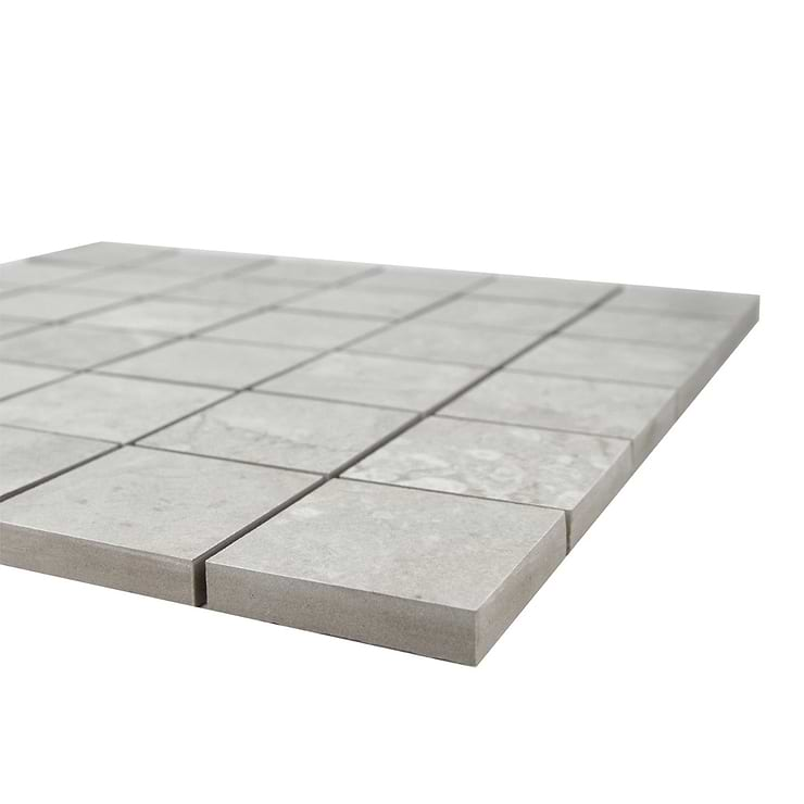 Thor Fossil Gray 2x2 Matte Porcelain Mosaic Tile