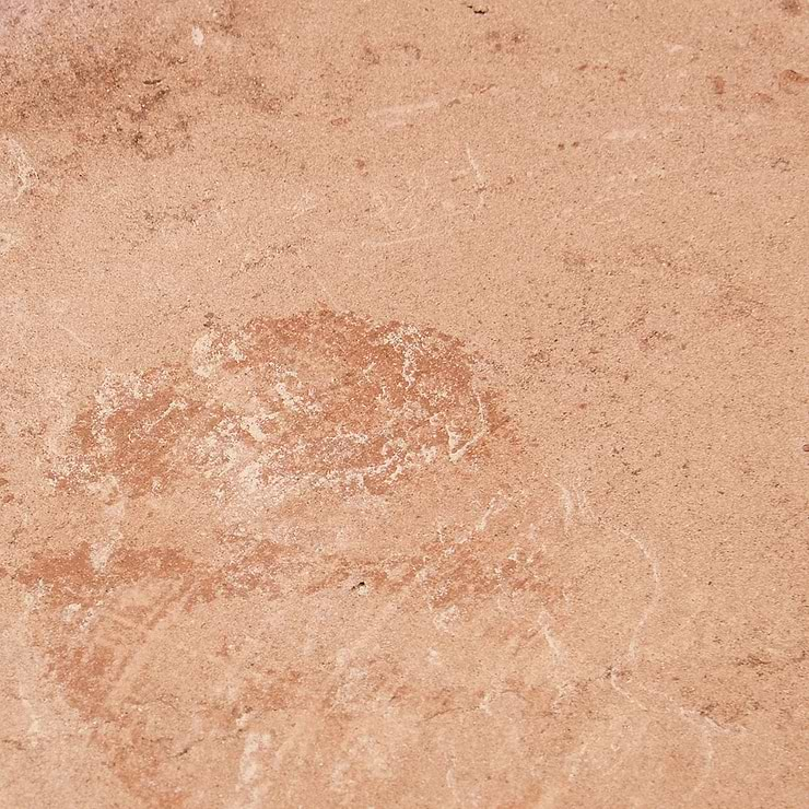 Terra Villa Sand Beige 4" Hex Matte Presealed Genuine Terracotta Tile