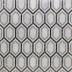 Infinity Carrara & Lagos Hexagon Marble Polished Mosaic Tile