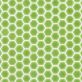 Eden 2.0 Electric Lime Green Rimmed 1" Hexagon Polished Porcelain Mosaic