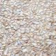 Sample-South Seas Pearl Pebbles Mosaic Polished Tile