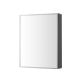 Vita Beveled 16x20" Rectangle Recessed or Wall Mounted Medicine Cabinet with Mirror