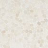 Sample-Nature Round Lovina White Pebble Honed Mosaic Tile
