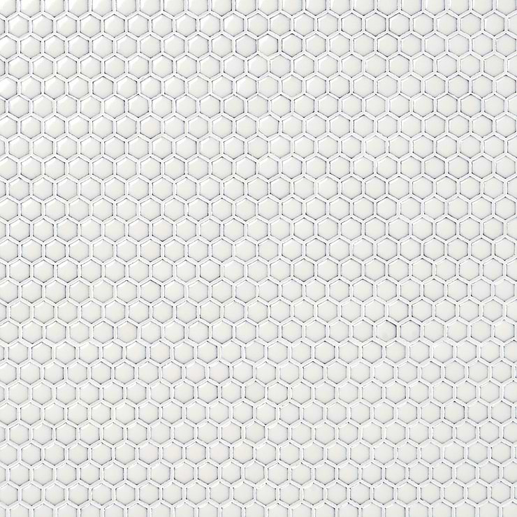 Eden Winter White Rimmed 1" Hexagon Polished Porcelain Mosaic