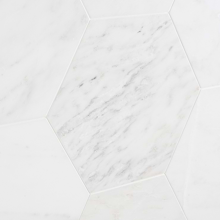 Asian Statuary 10" Hexagon Honed Marble Tile